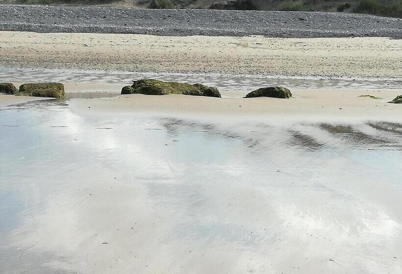 Sunflower Bed & Breakfast