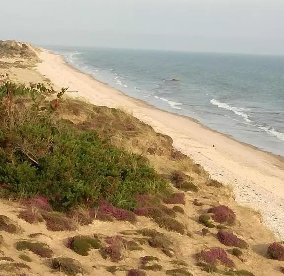 Sunflower Bed & Breakfast