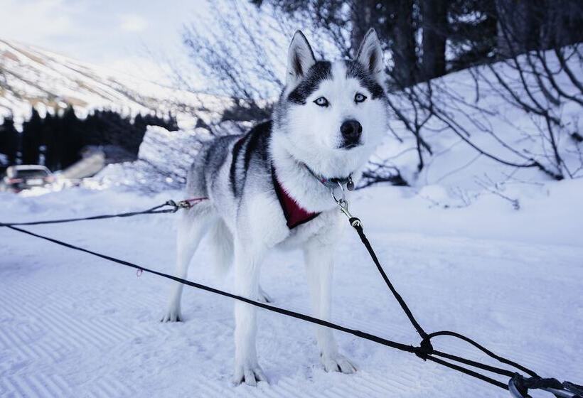 Dormio Resort Les Portes Du Grand Massif