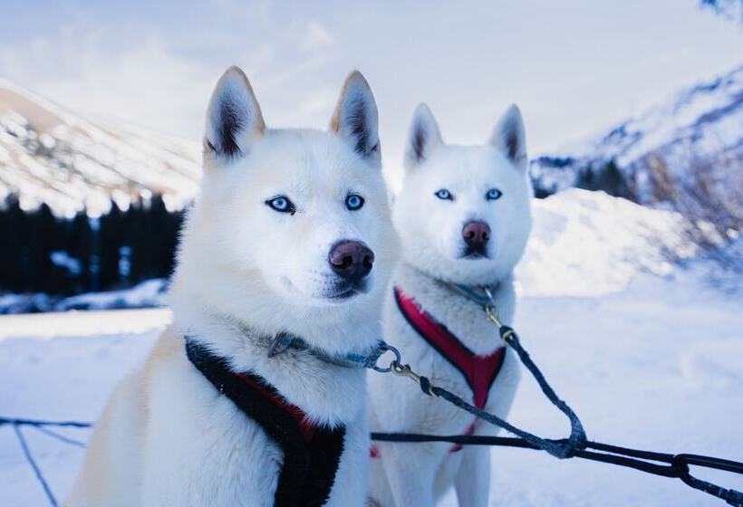 Dormio Resort Les Portes Du Grand Massif