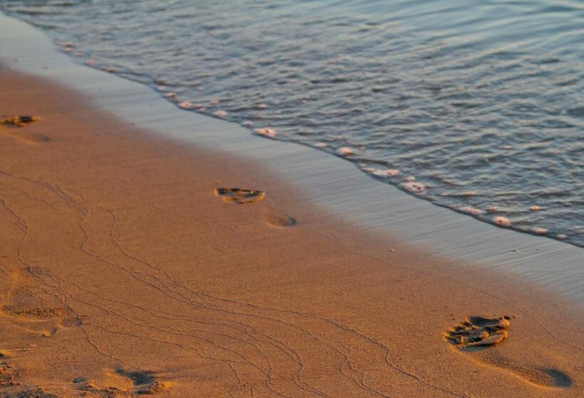 فندق Nana Golden Beach   All Inclusive