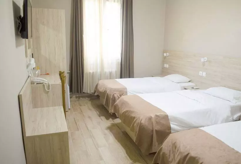 Hotel Nea Metropolis