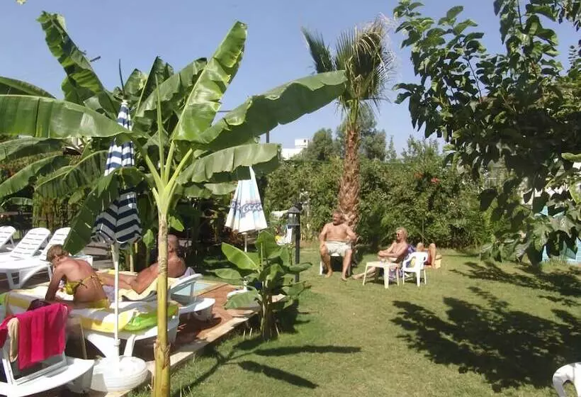 בית מלון כפרי Olivia