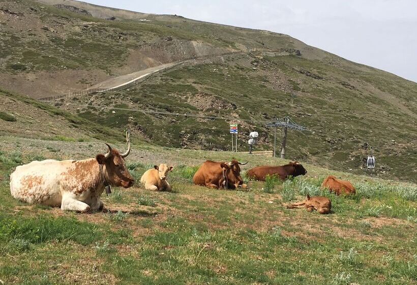 Inside Plaza Sierra Nevada