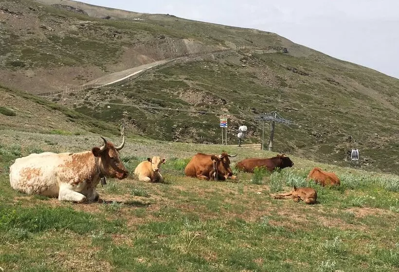 Inside Plaza Sierra Nevada