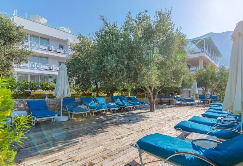 Kalkan Oasis Hotel   Adults Only