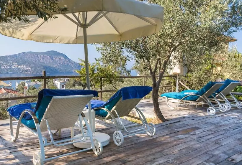 Kalkan Oasis Hotel   Adults Only