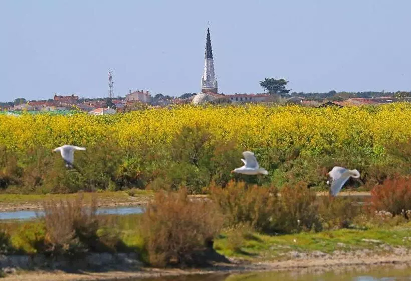 Aamiaismajoitus (B&B) La Passerose 3 Pièces Avec Jardin Au Calme,à 300m De La Plage