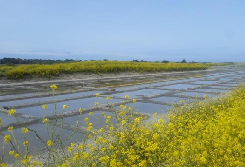 Aamiaismajoitus (B&B) La Passerose 3 Pièces Avec Jardin Au Calme,à 300m De La Plage