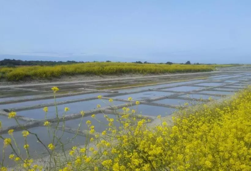 Aamiaismajoitus (B&B) La Passerose 3 Pièces Avec Jardin Au Calme,à 300m De La Plage