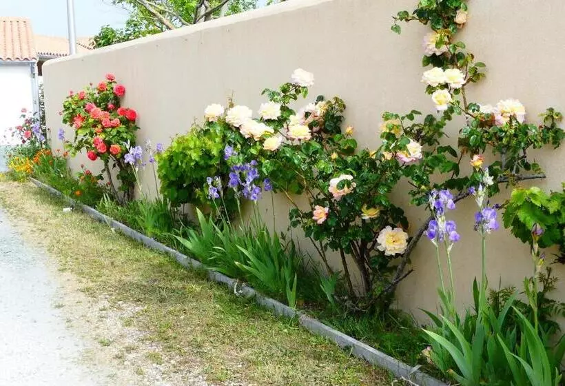 Aamiaismajoitus (B&B) La Passerose 3 Pièces Avec Jardin Au Calme,à 300m De La Plage