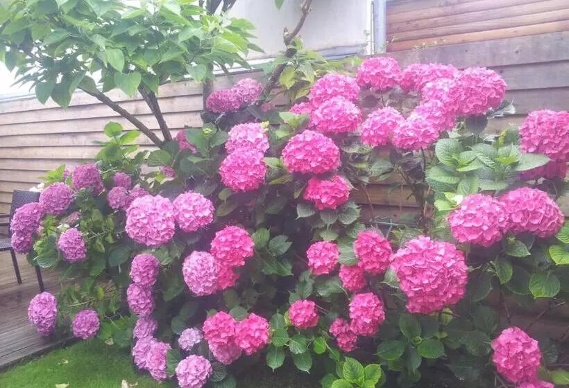 Aamiaismajoitus (B&B) La Passerose 3 Pièces Avec Jardin Au Calme,à 300m De La Plage