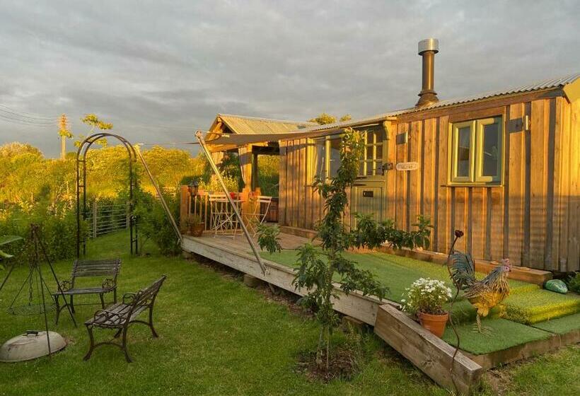 호텔 Willowbank Shepherds Hut