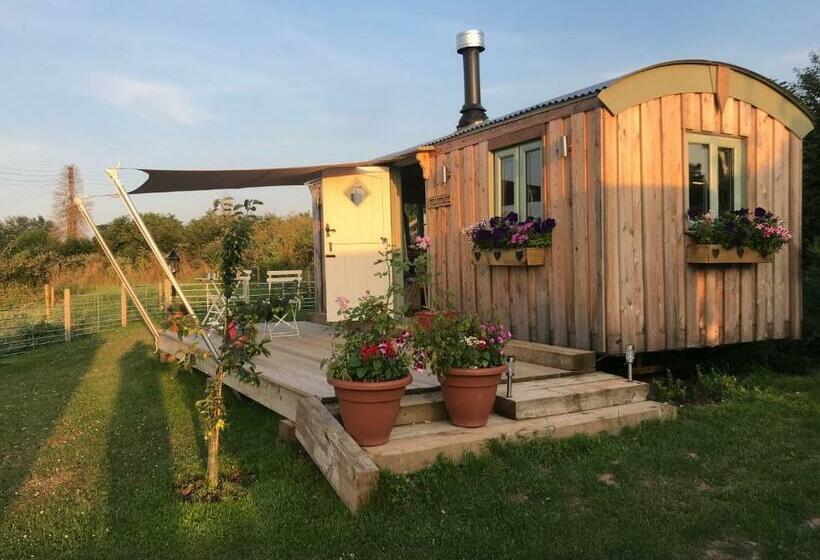 호텔 Willowbank Shepherds Hut