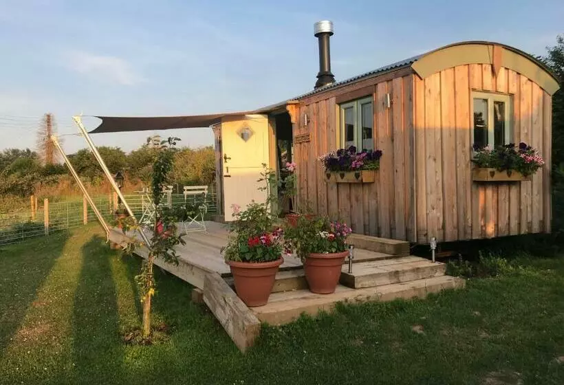 Hotelli Willowbank Shepherds Hut