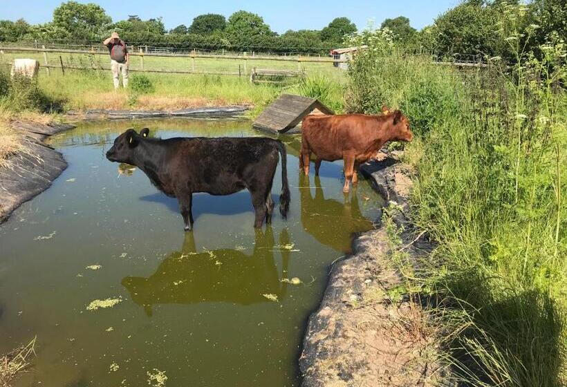 호텔 Willowbank Shepherds Hut