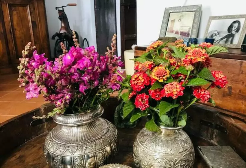 Majatalo Casa Antigua   Terraza Con Vistas Al Mar