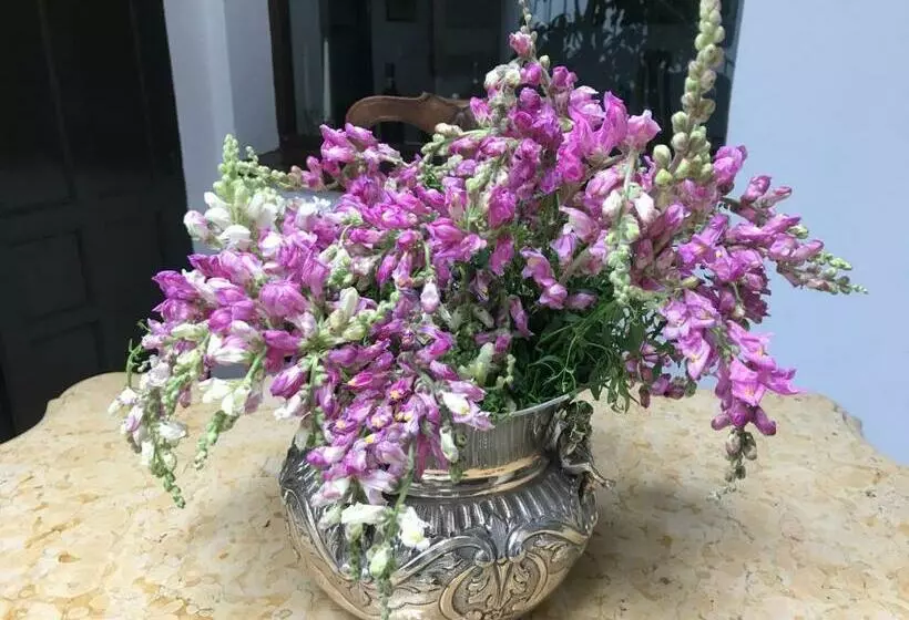 Majatalo Casa Antigua   Terraza Con Vistas Al Mar