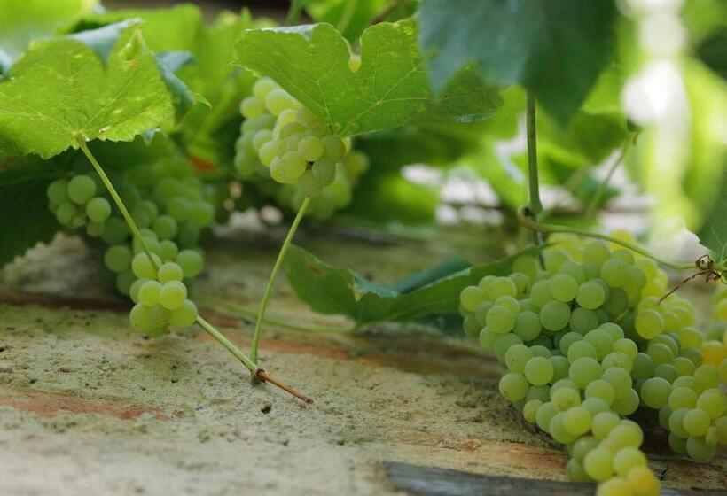 B&b Cascina La Cinciallegra