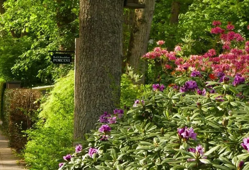 B&b Porcini