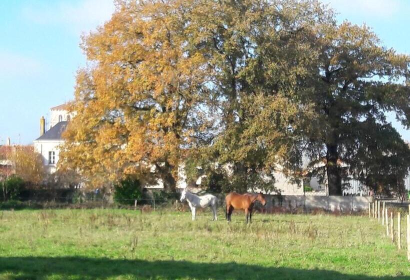 住宿加早餐  Domaine De La Sauzaie