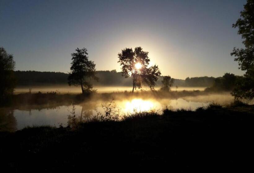住宿加早餐  Domaine De La Sauzaie