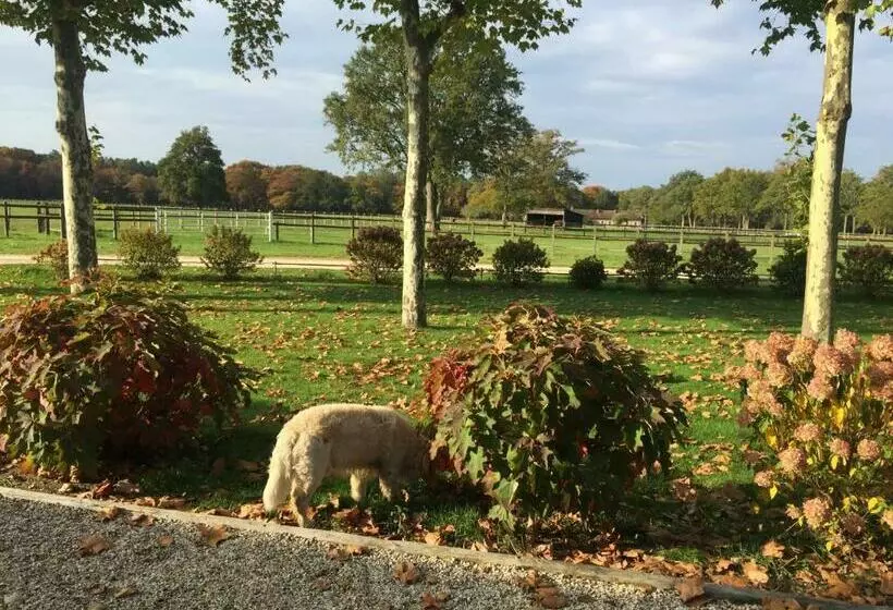 Aamiaismajoitus (B&B) Haras Du Vignault Le Bûcher