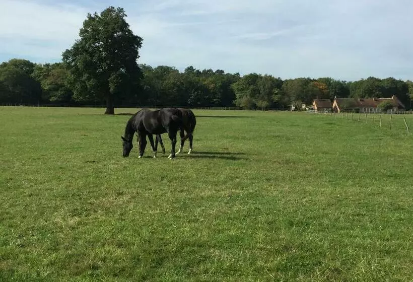 Aamiaismajoitus (B&B) Haras Du Vignault Le Bûcher