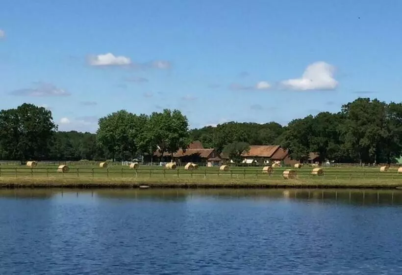 Aamiaismajoitus (B&B) Haras Du Vignault Le Bûcher