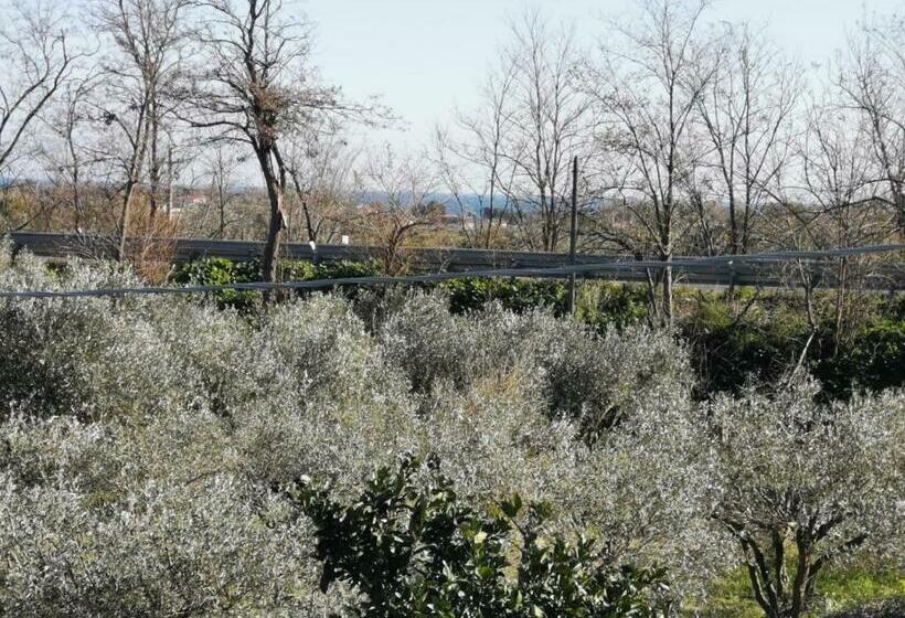 مبيت وإفطار Il Feudo