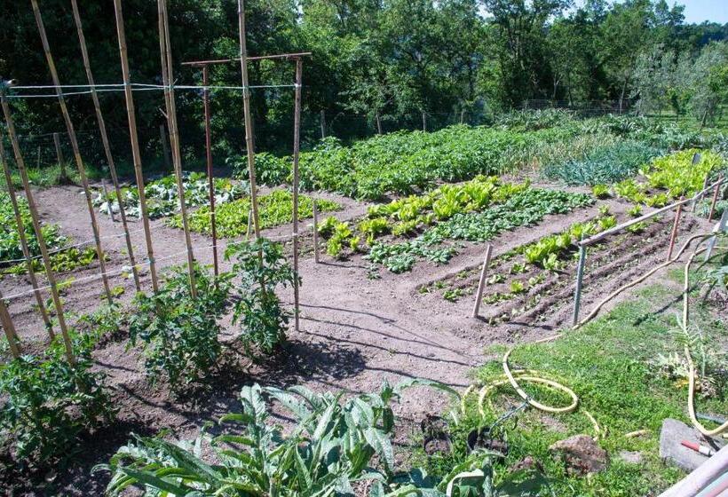 住宿加早餐 La Grotta Su Civita