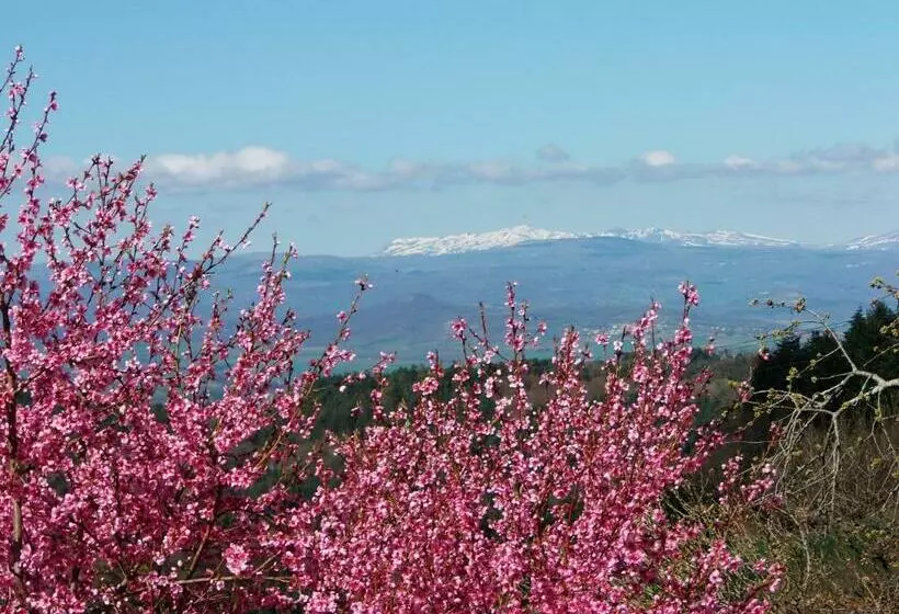 Aamiaismajoitus (B&B) Le Vallon D Armandine, Gîte écologique Auvergne