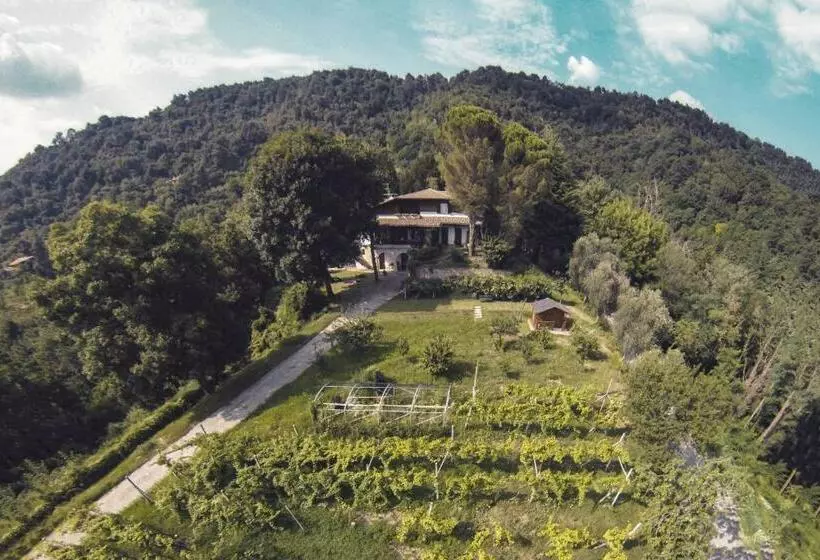 Aamiaismajoitus (B&B) Sasso Di Luna