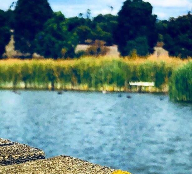 Bed and Breakfast The Lake House Retreat