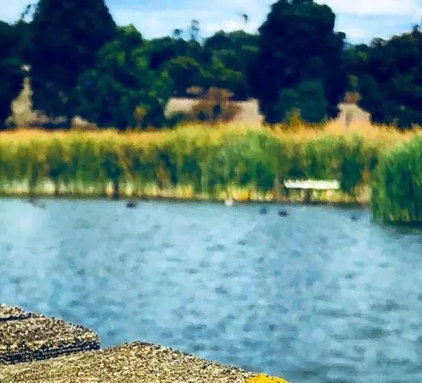 Aamiaismajoitus (B&B) The Lake House Retreat