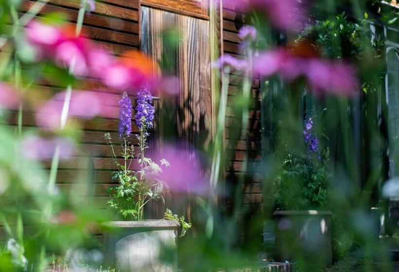 Beeltjens B&b: Wolf&belle