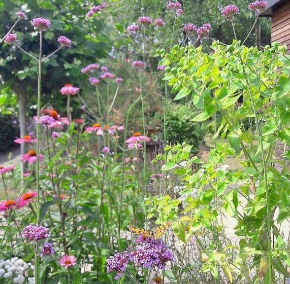 Beeltjens B&b: Wolf&belle