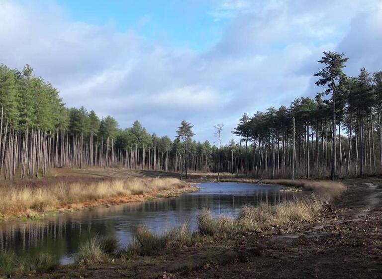 Beeltjens B&b: Wolf&belle