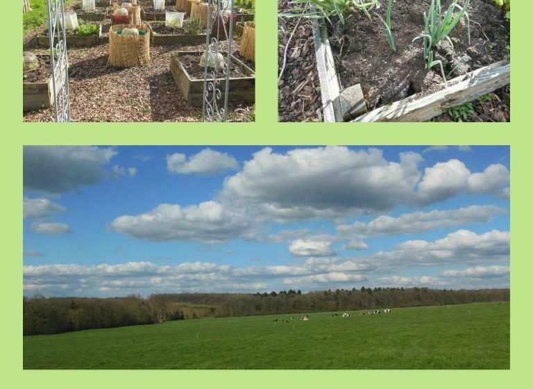 Пансион Chambre Poésie