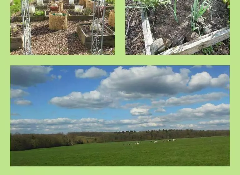 Majatalo Chambre Poésie