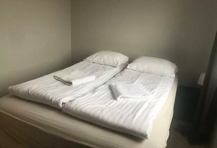 پانسیون Guesthouse Skógafoss