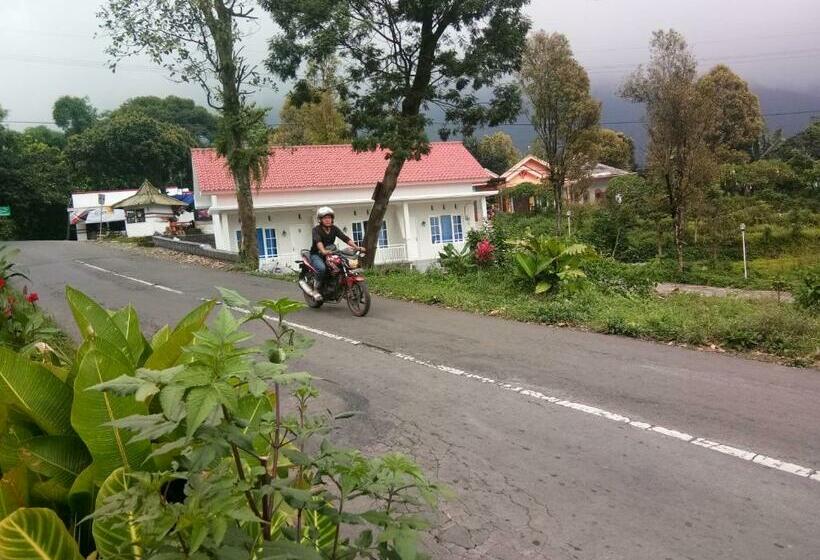 بنسيون Villaloe