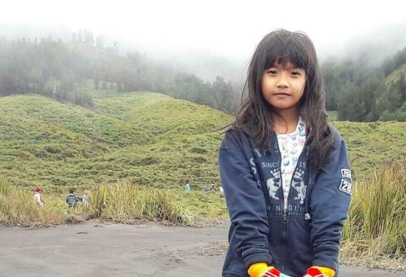 بنسيون Villaloe