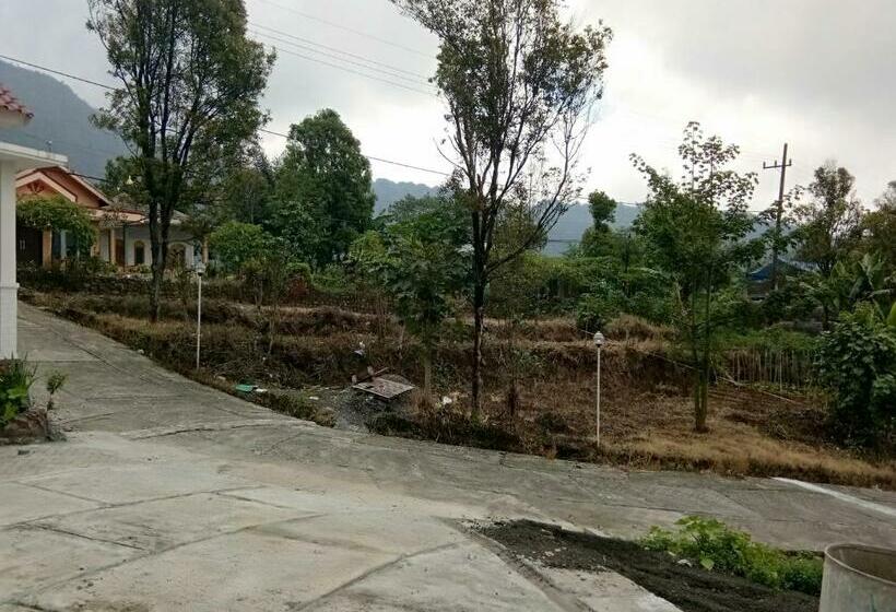 بنسيون Villaloe