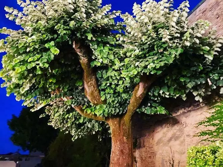 Bed and Breakfast La Dormance