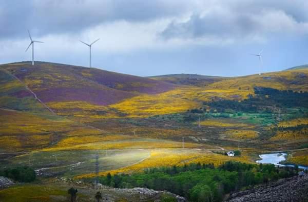 تختخواب و صبحانه Lago Da Garça Guesthouse