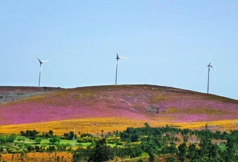 تختخواب و صبحانه Lago Da Garça Guesthouse