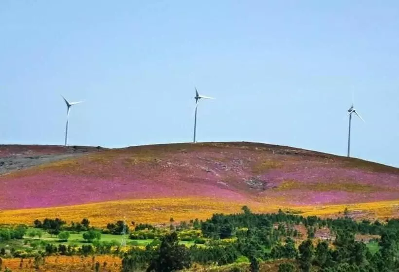 Aamiaismajoitus (B&B) Lago Da Garça Guesthouse