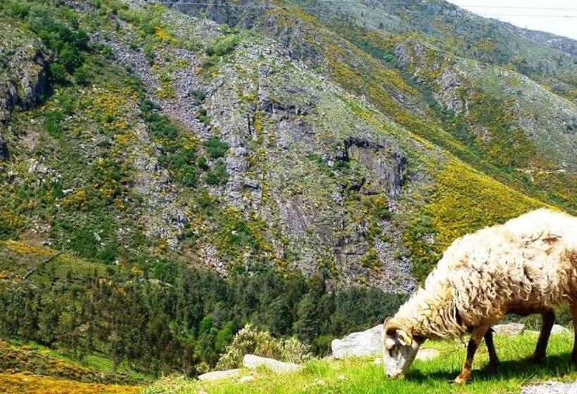 تختخواب و صبحانه Lago Da Garça Guesthouse