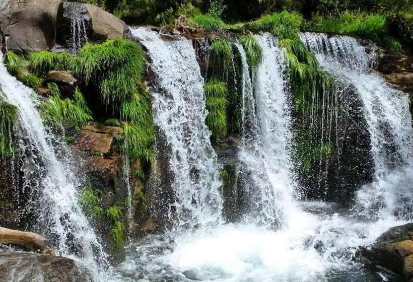 تختخواب و صبحانه Lago Da Garça Guesthouse